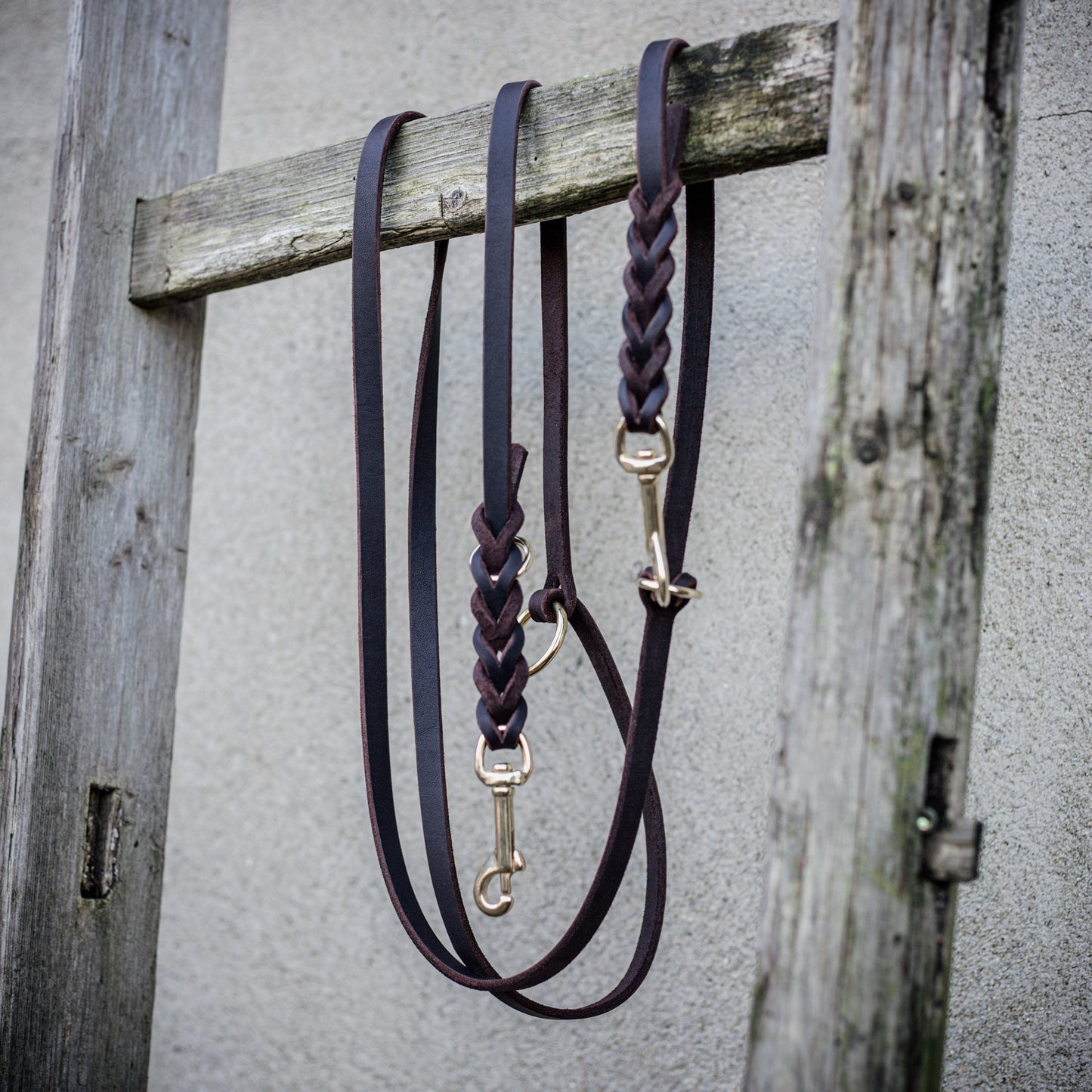 Fettleder Hundeleine 3m | Geflochtene Lederleine mit Messing | Verstellbare Hundeleine