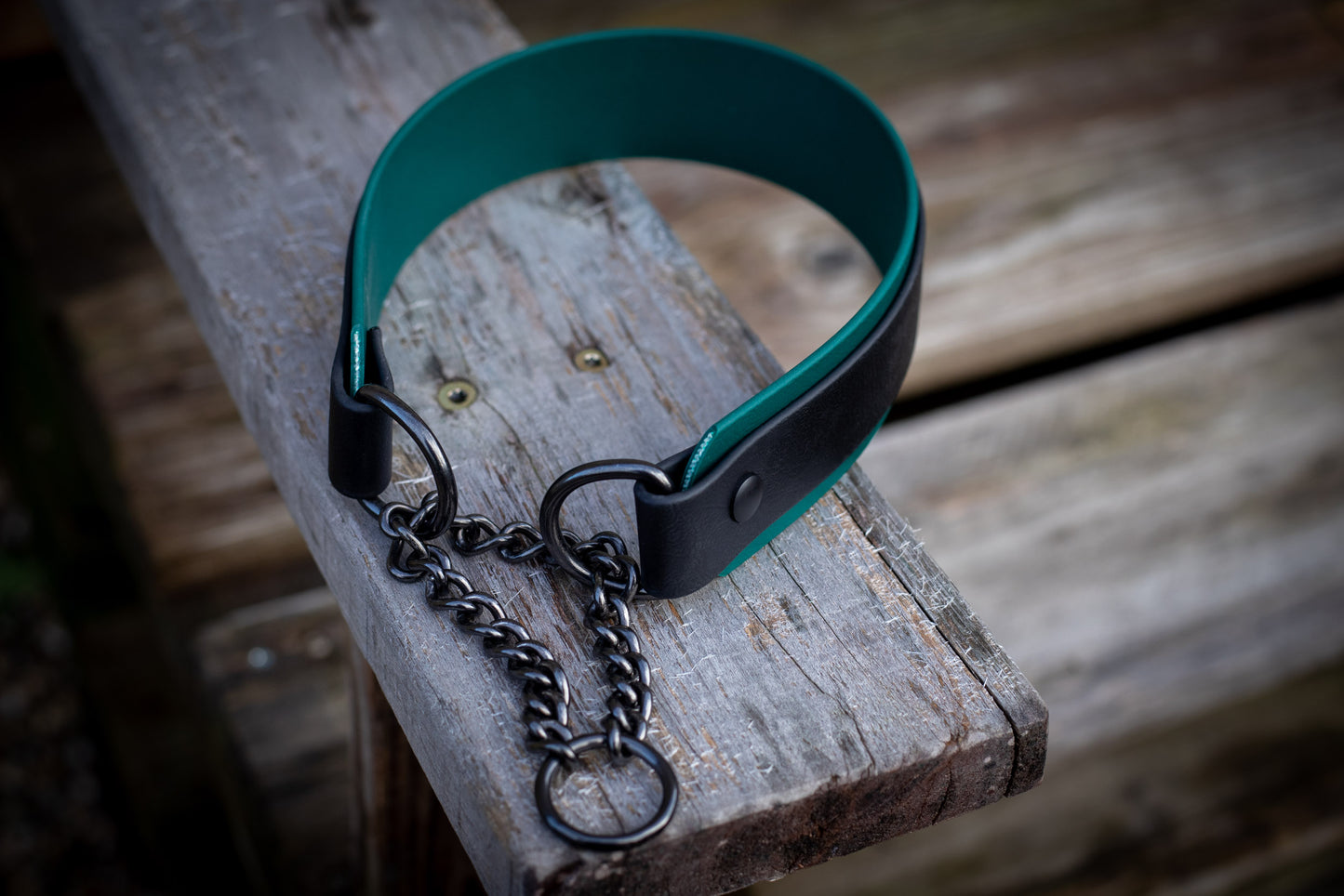 Hundhalsband aus Biothane mit Zugstoppkette