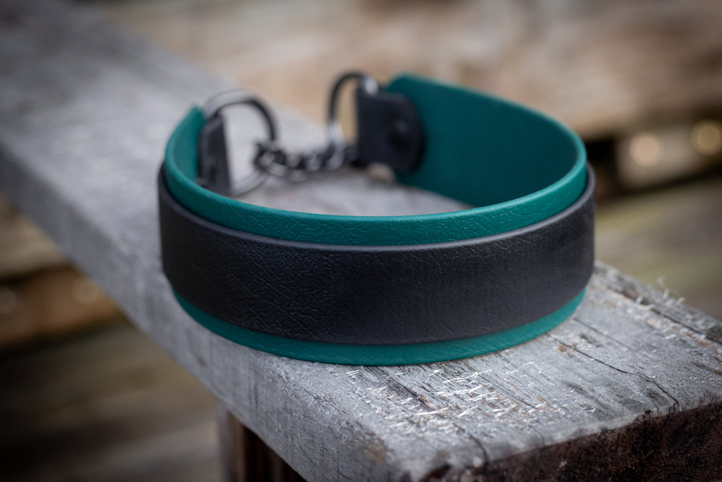 Hundhalsband aus Biothane mit Zugstoppkette