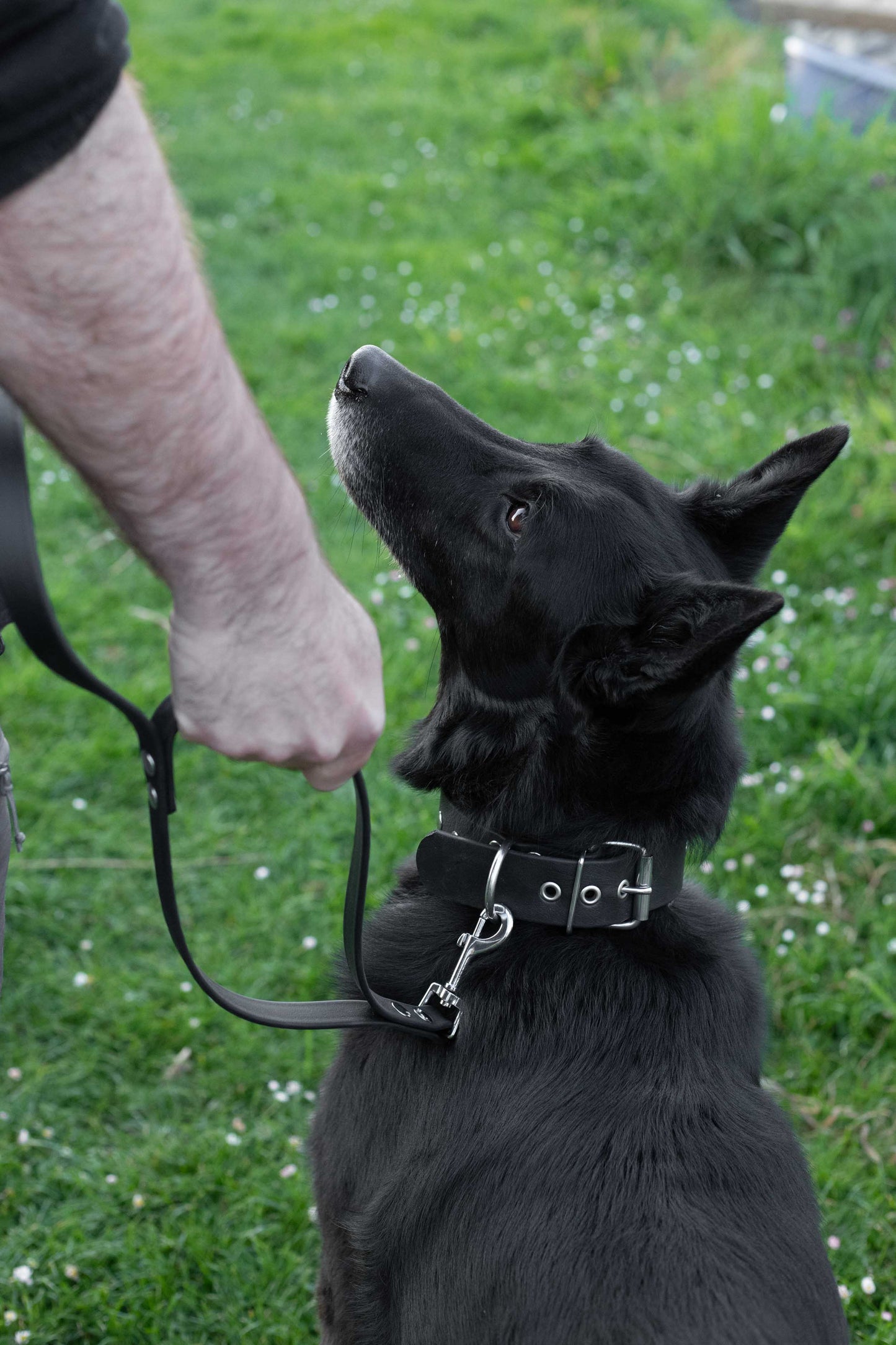 Verstellbare Biothane Leine mit Griff und Sicherheitskarabinern schwarz 3 m