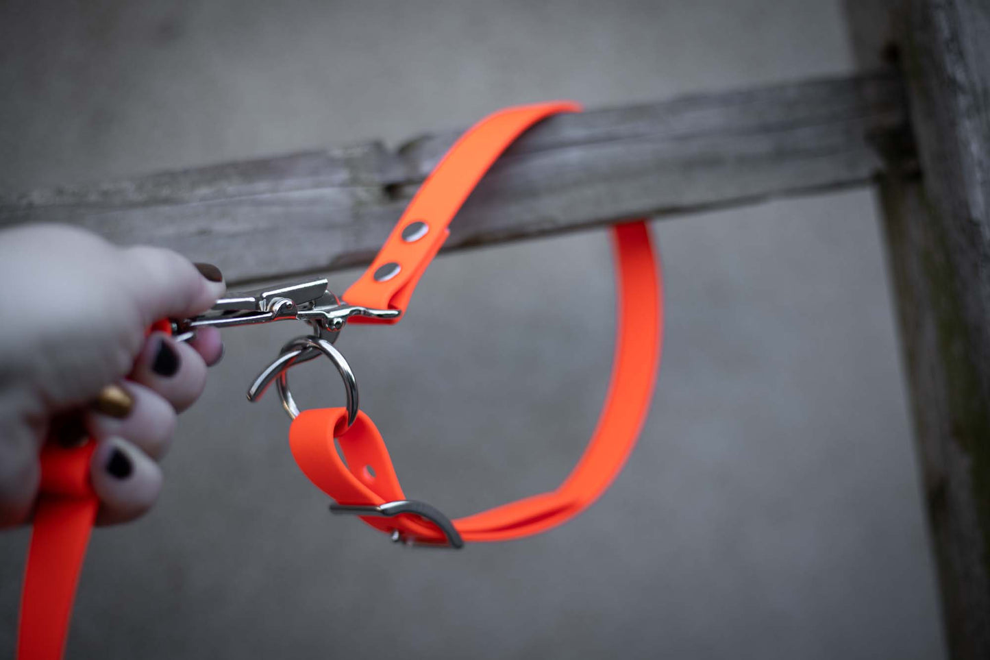 Befreiungsleine Rettungshundeleine Biothane