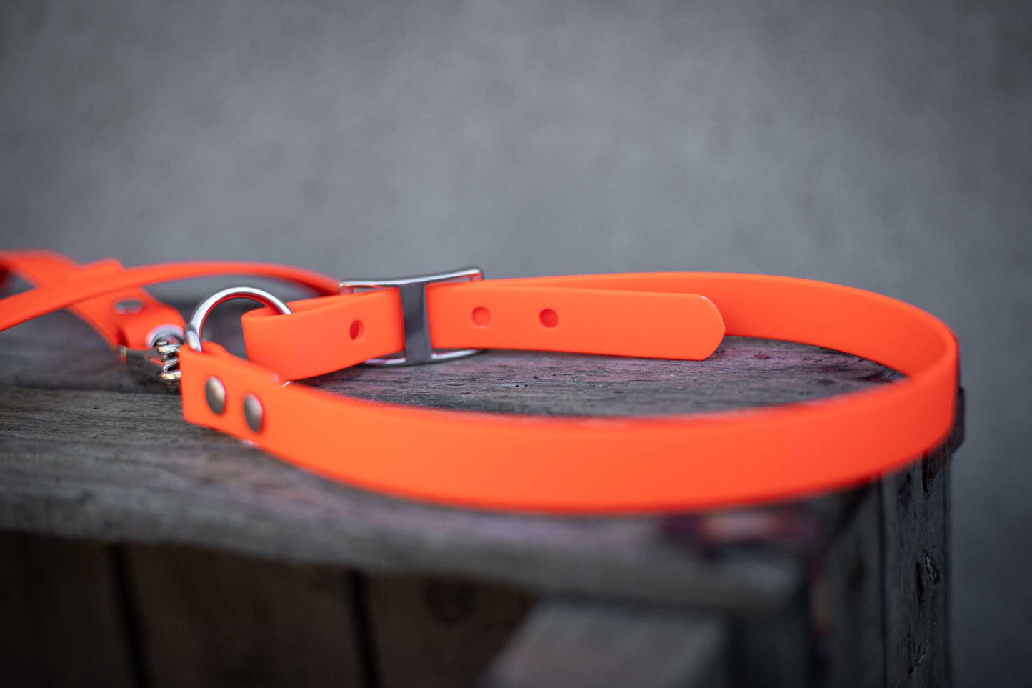 Befreiungsleine Rettungshundeleine Biothane