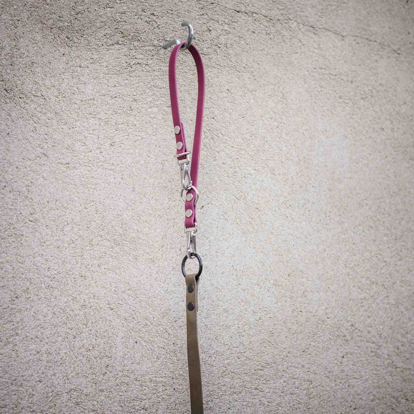 Schleppleinen Halter Kurzführer Safety Strap Biothane