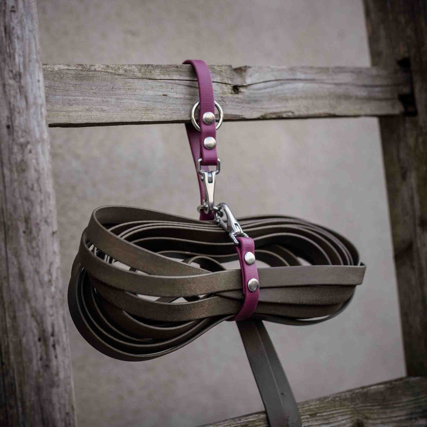 Schleppleinen Halter Kurzführer Safety Strap Biothane