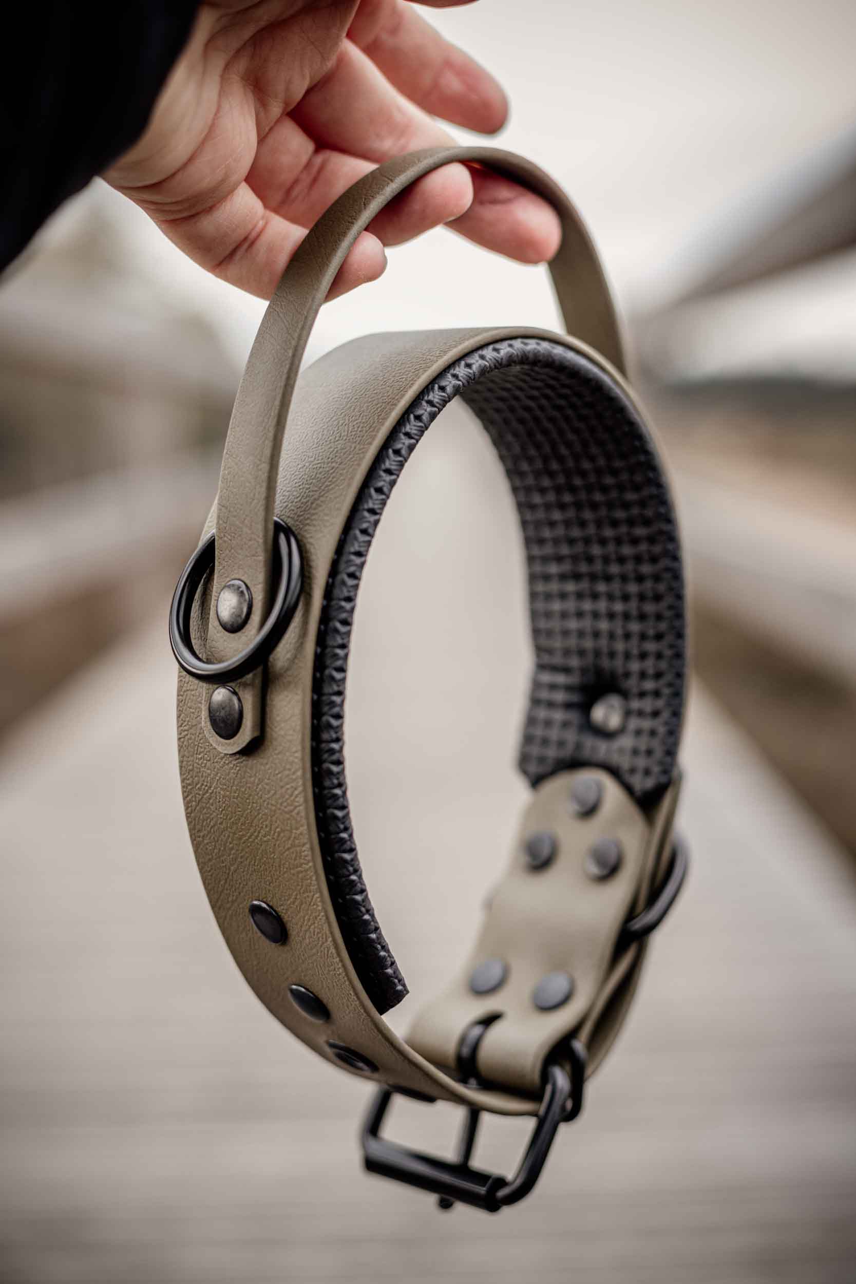 Breites gepolstertes Hundehalsband aus Biothane  Sage Trails