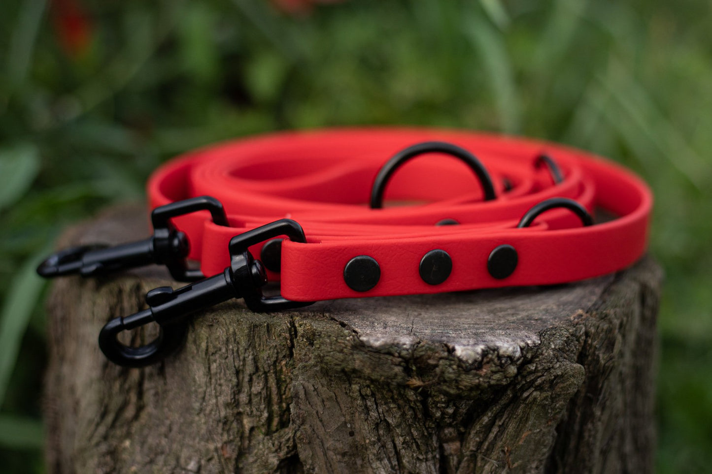 Dreifach verstellbare BioThane® Hundeleine | 2 m lang | 19 mm breit
