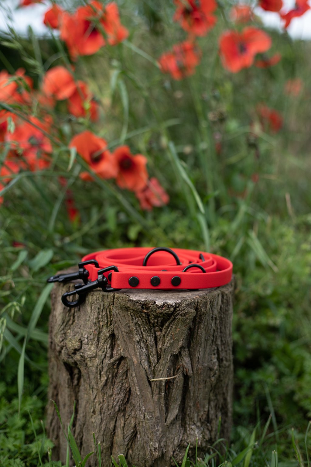 Dreifach verstellbare BioThane® Hundeleine | 2 m lang | 19 mm breit