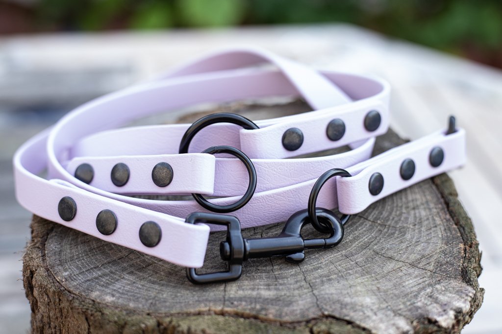 Dreifach verstellbare BioThane® Hundeleine | 2 m lang | 19 mm breit