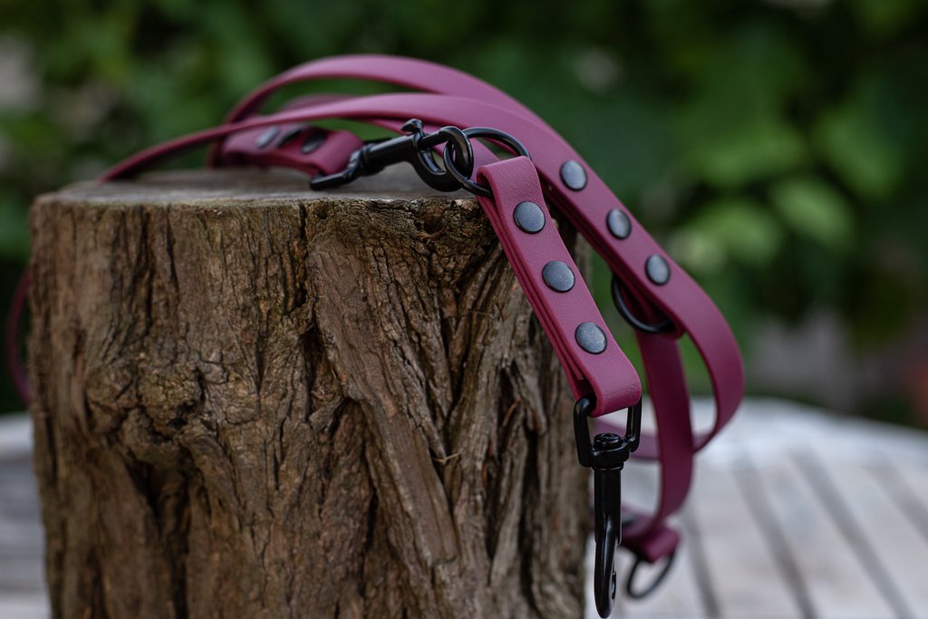 Dreifach verstellbare BioThane® Hundeleine | 2 m lang | 19 mm breit