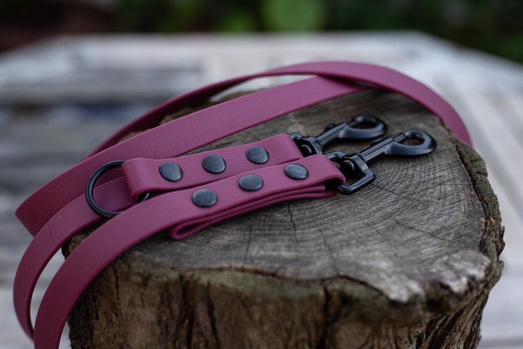 Dreifach verstellbare BioThane® Hundeleine | 2 m lang | 19 mm breit
