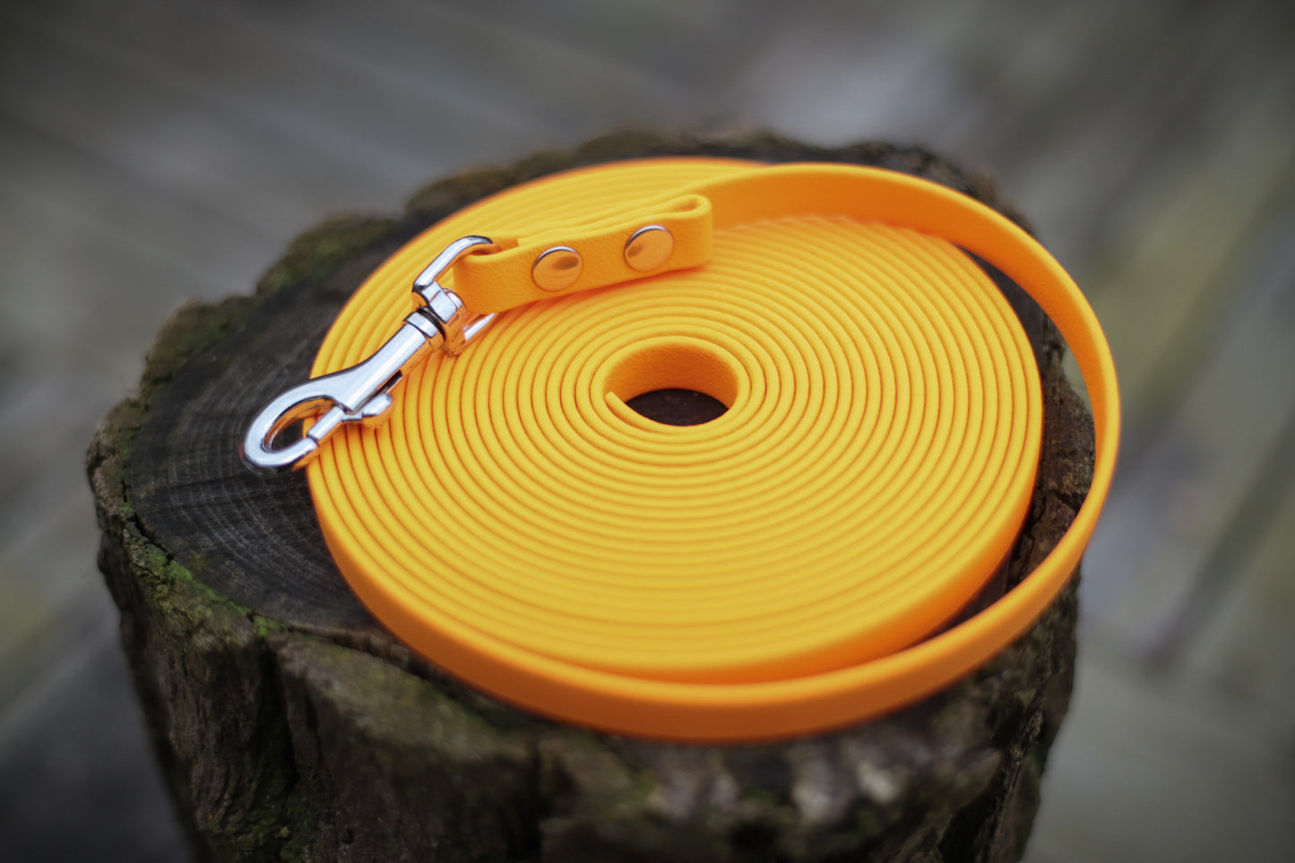 Biothane Schleppleine 5 m orange mit silbernem Karabiner 13 mm breit