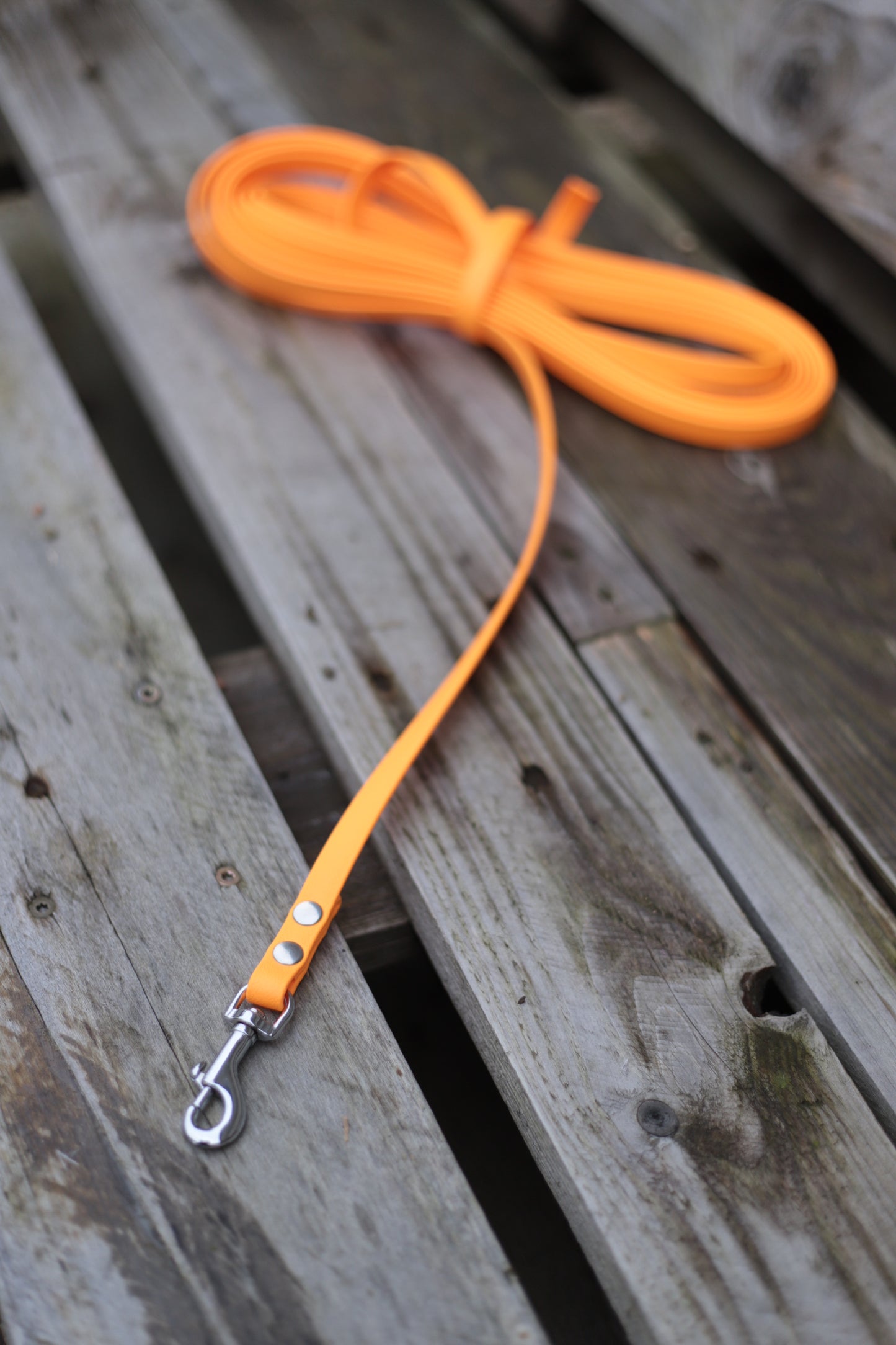 Biothane Schleppleine 5 m orange mit silbernem Karabiner 13 mm breit